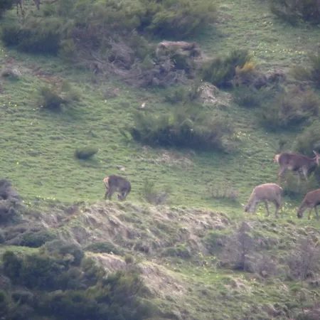 Castillo Del Alba Hotel