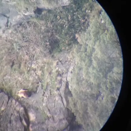 Castillo Del Alba Hotel Pola de Somiedo