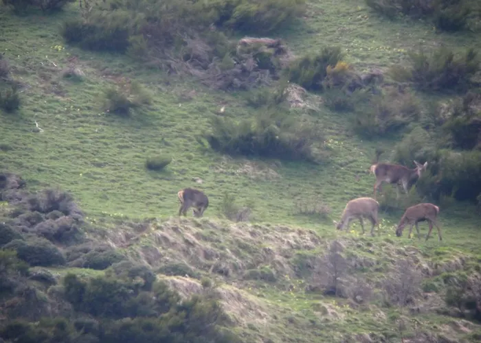 Castillo Del Alba Hotel