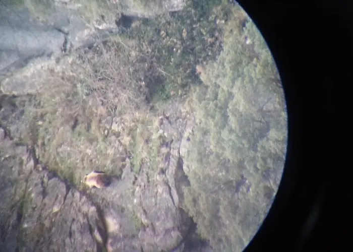 Castillo Del Alba Hotel Pola de Somiedo